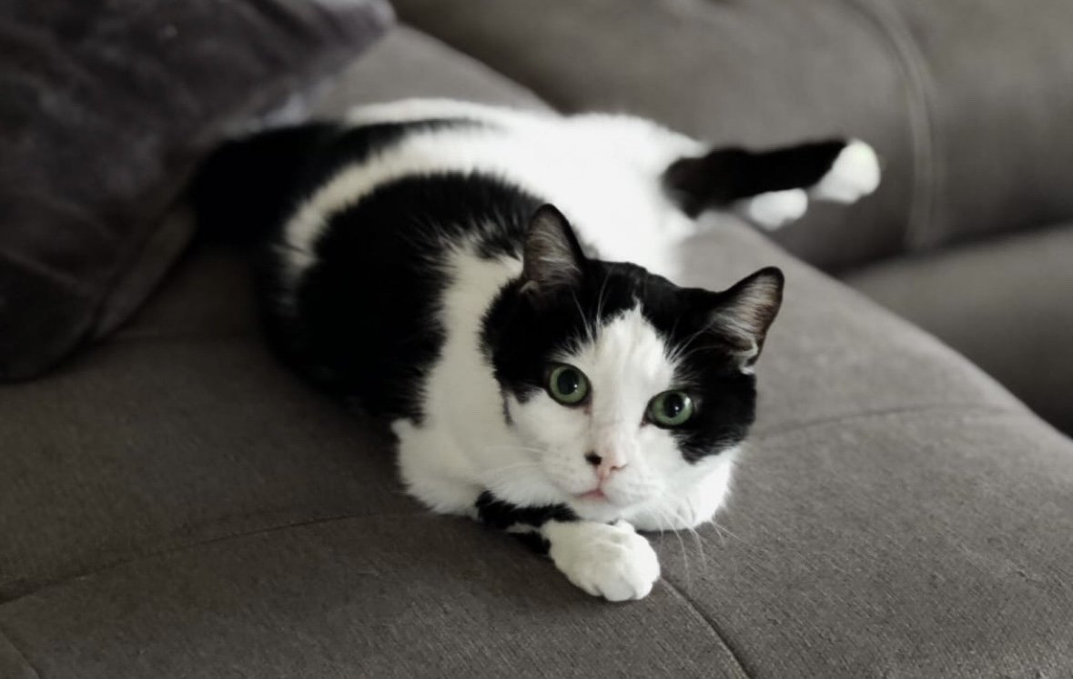 Sammy