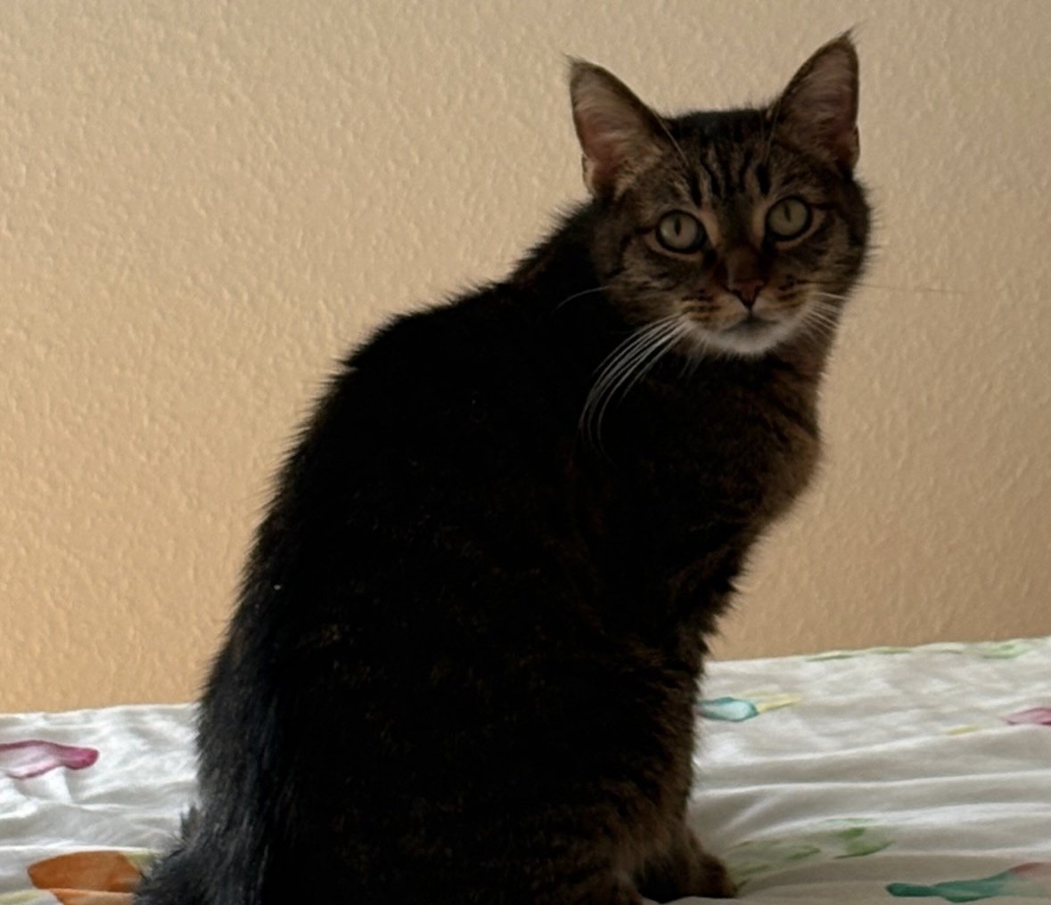 Leo